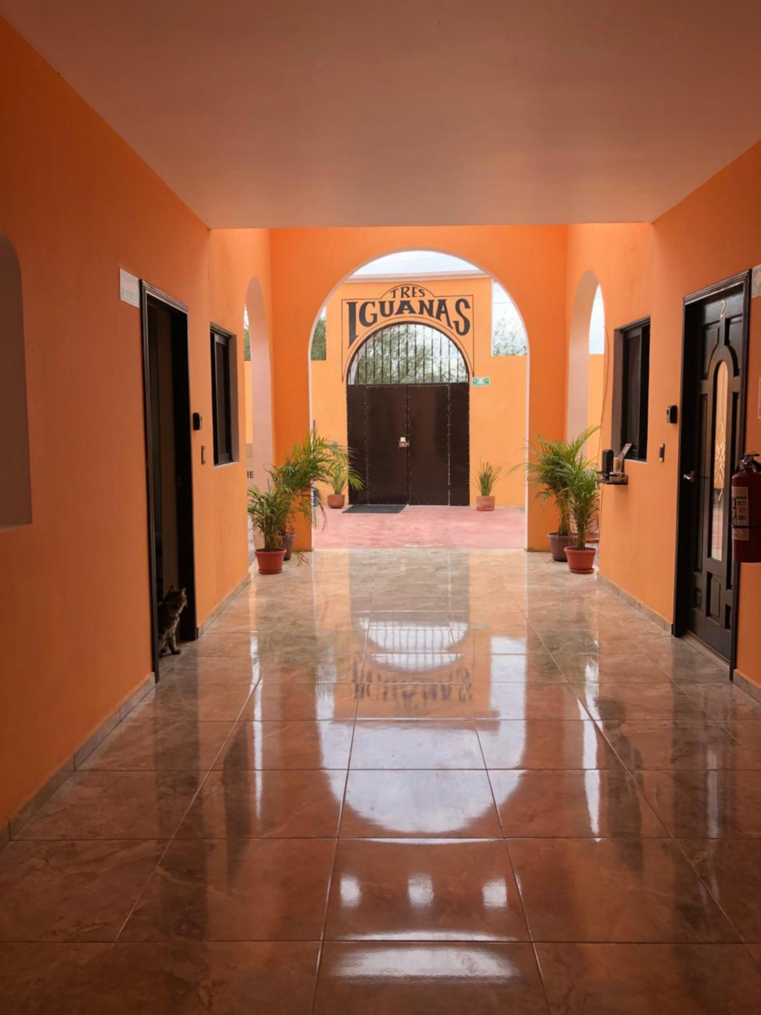 Tres Iguanas Apart Hotel - New, Cozy & Spacious Flats, Short Walk To Beach Loreto  Exteriör bild