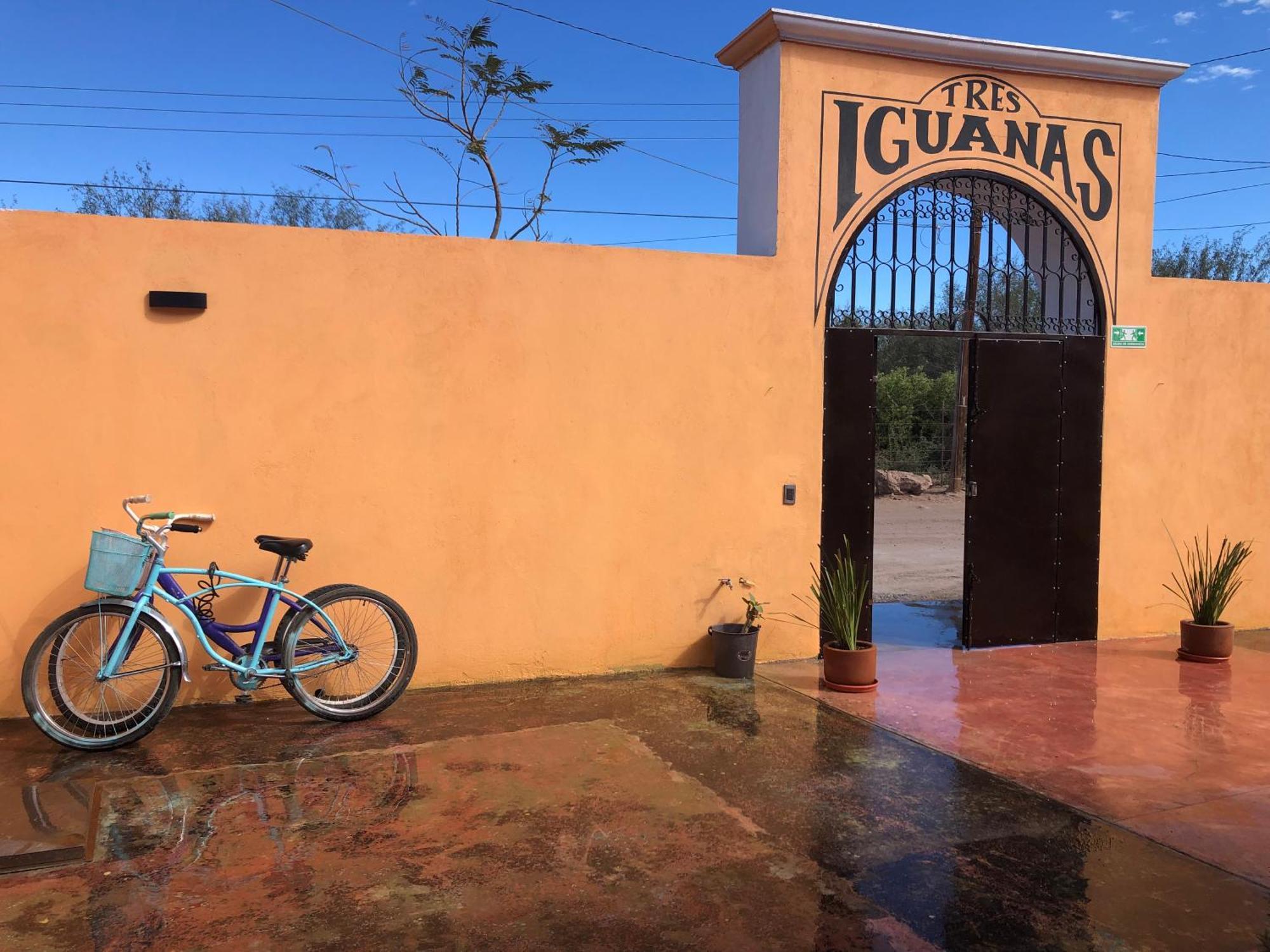 Tres Iguanas Apart Hotel - New, Cozy & Spacious Flats, Short Walk To Beach Loreto  Exteriör bild