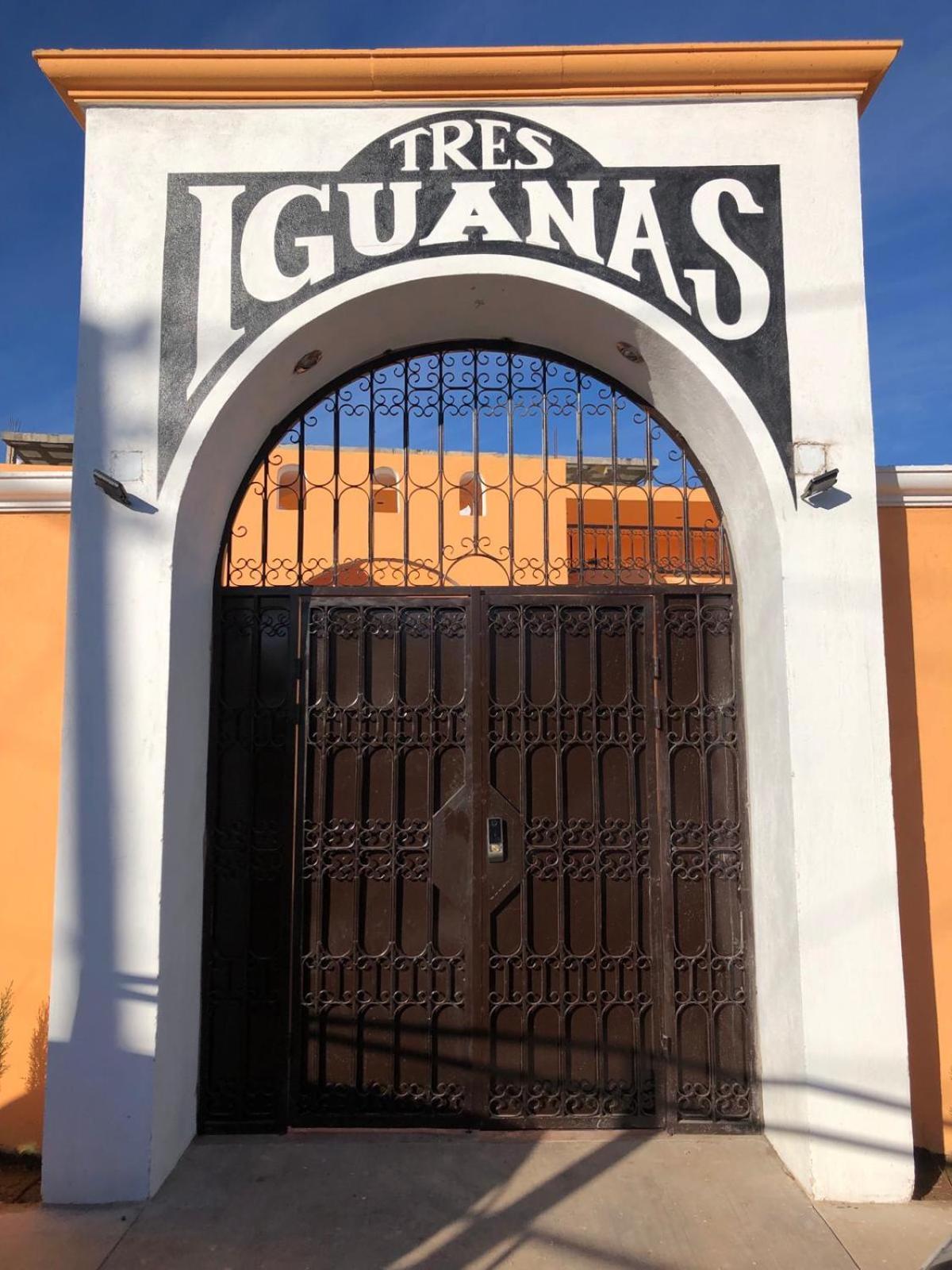 Tres Iguanas Apart Hotel - New, Cozy & Spacious Flats, Short Walk To Beach Loreto  Exteriör bild