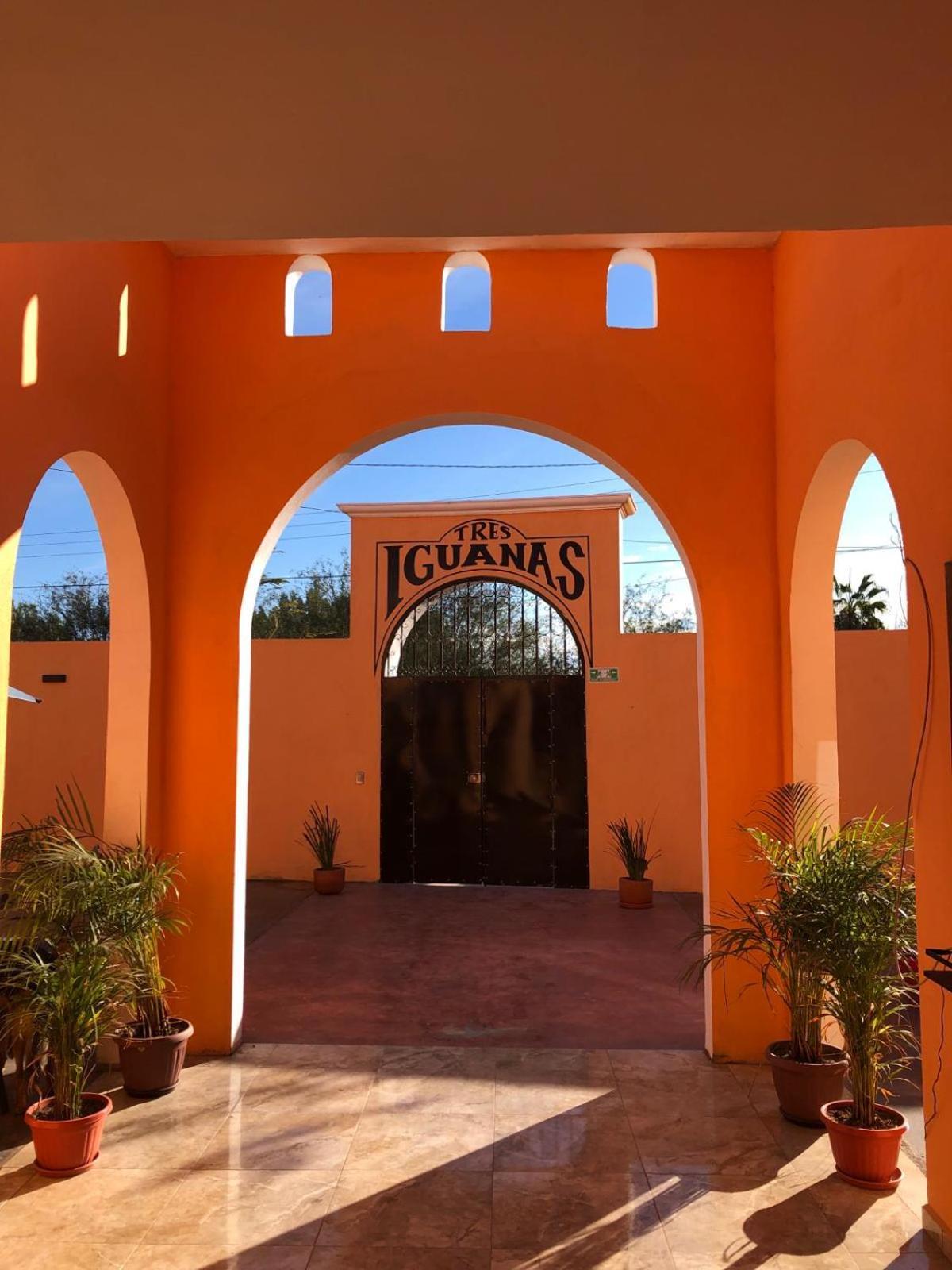Tres Iguanas Apart Hotel - New, Cozy & Spacious Flats, Short Walk To Beach Loreto  Exteriör bild