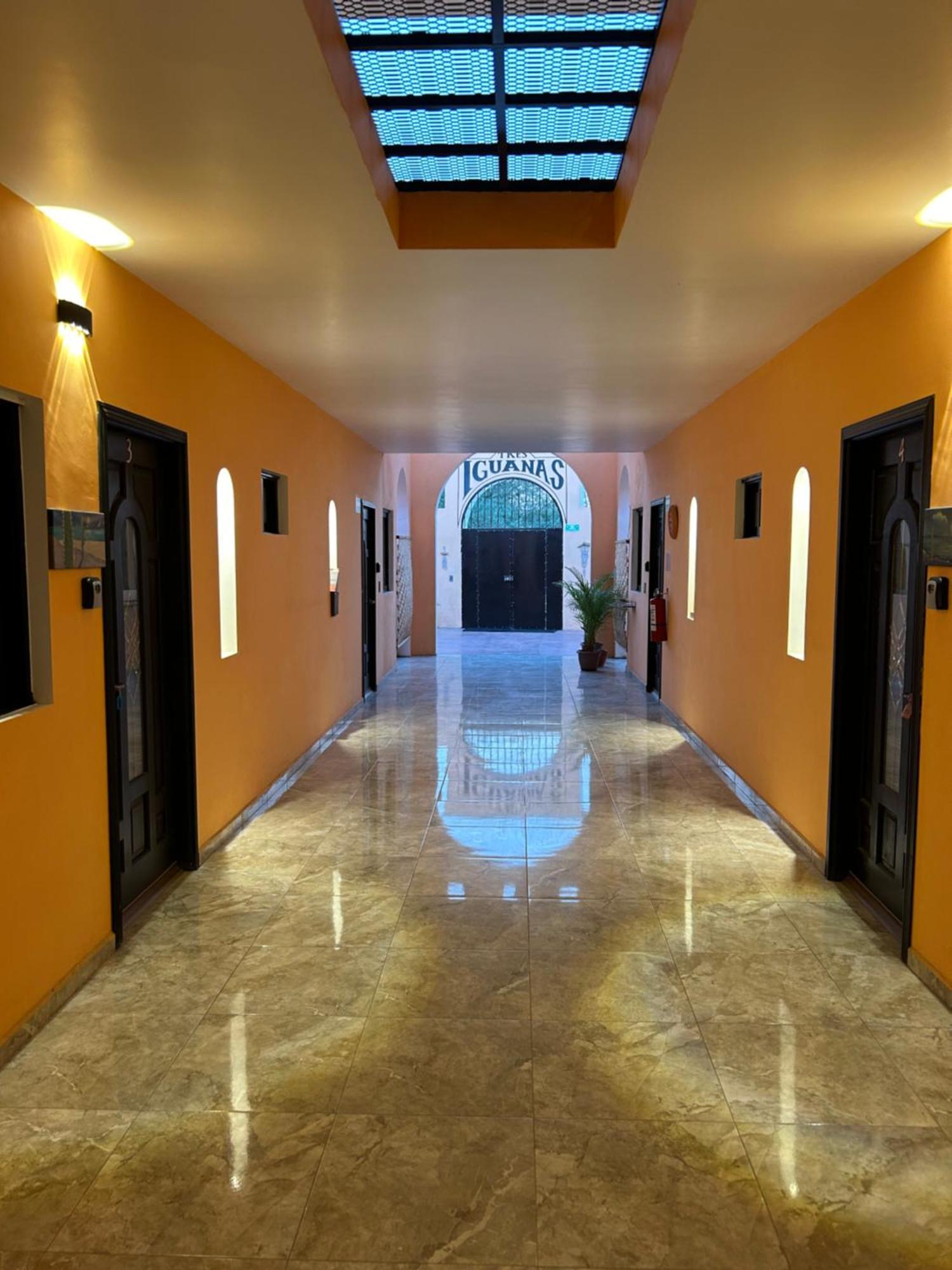 Tres Iguanas Apart Hotel - New, Cozy & Spacious Flats, Short Walk To Beach Loreto  Exteriör bild