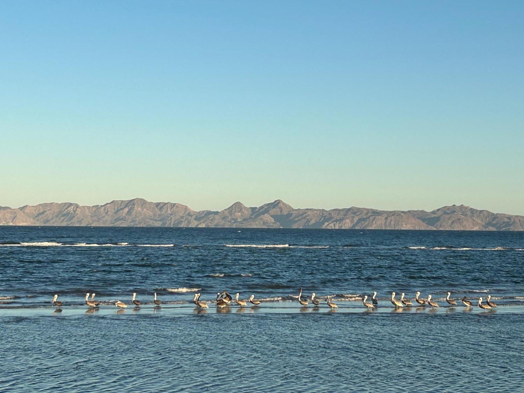 Tres Iguanas Apart Hotel - New, Cozy & Spacious Flats, Short Walk To Beach Loreto  Exteriör bild