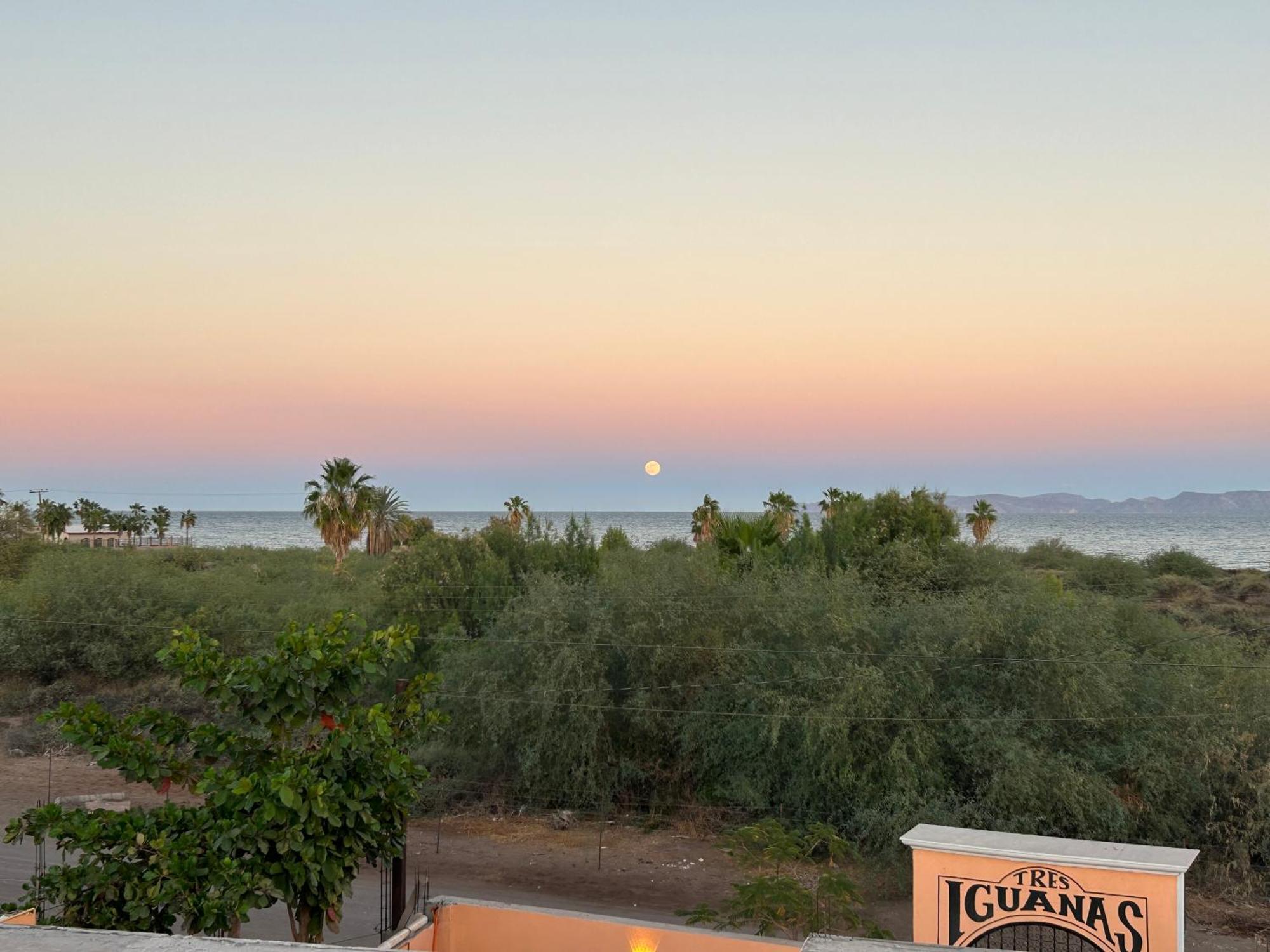 Tres Iguanas Apart Hotel - New, Cozy & Spacious Flats, Short Walk To Beach Loreto  Exteriör bild